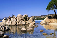 威爾士邊鋒貝爾外號大聖的由來.